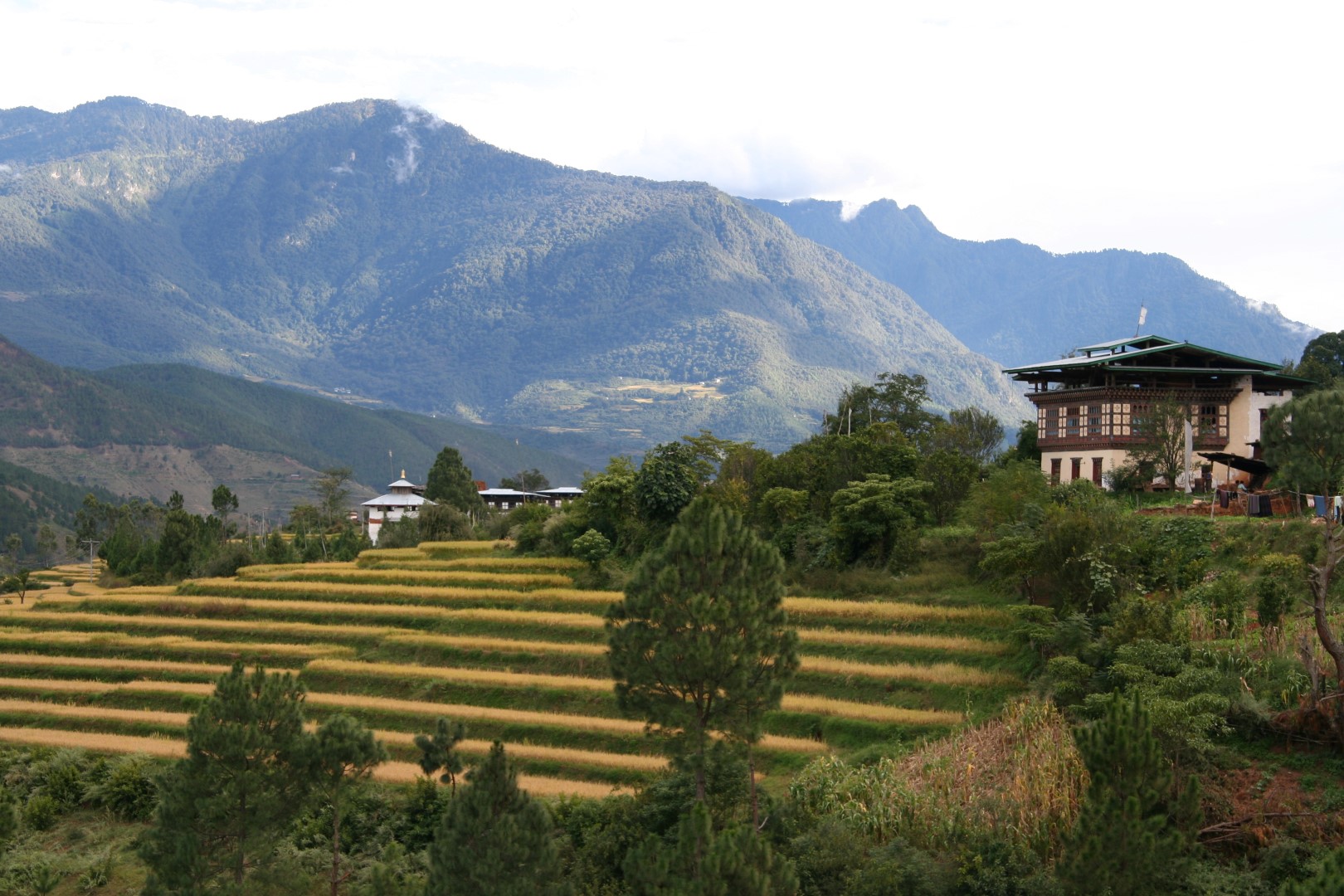 wp-content/uploads/itineraries/Bhutan/bhutan (20).jpg